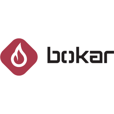 Печи и камины Bokar